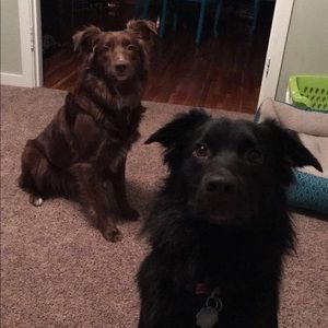 Meet your Posher, Makayla